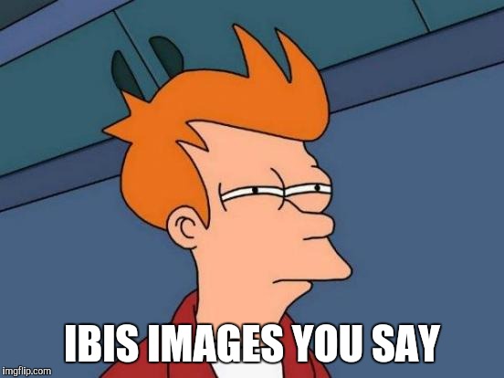 Futurama Fry Meme | IBIS IMAGES YOU SAY | image tagged in memes,futurama fry | made w/ Imgflip meme maker