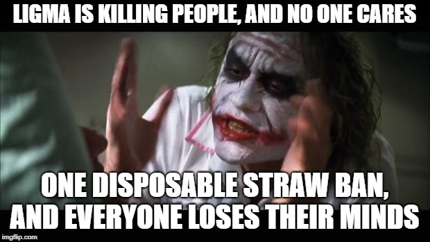 My thoughts on Straw bans | LIGMA IS KILLING PEOPLE, AND NO ONE CARES; ONE DISPOSABLE STRAW BAN, AND EVERYONE LOSES THEIR MINDS | image tagged in memes,and everybody loses their minds | made w/ Imgflip meme maker