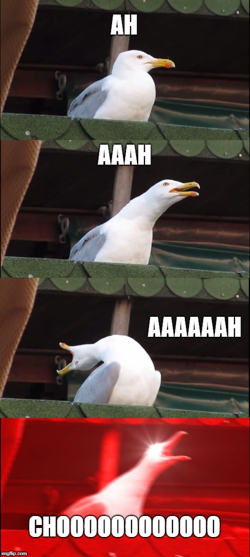 Inhaling Seagull Meme | AH; AAAH; AAAAAAH; CHOOOOOOOOOOOO | image tagged in memes,inhaling seagull | made w/ Imgflip meme maker