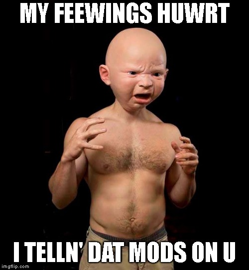 With The Influx Of Liberals, We're Seeing A Flood Of New Censorship | MY FEEWINGS HUWRT; I TELLN' DAT MODS ON U | image tagged in crybaby,liberals,mods,imgflip,imgflip unite,censorship | made w/ Imgflip meme maker