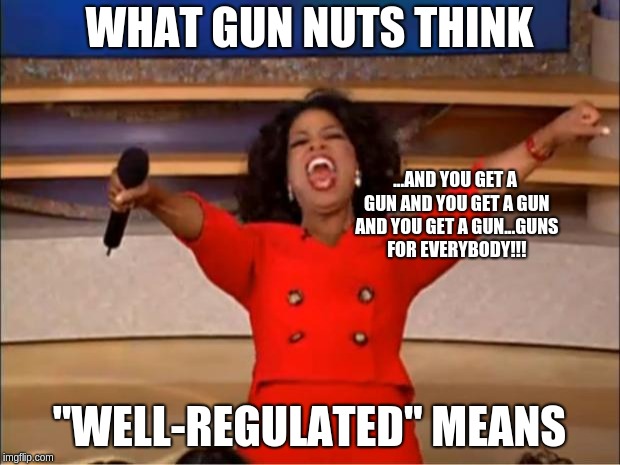 Not how the second amendment works... | WHAT GUN NUTS THINK; ...AND YOU GET A GUN AND YOU GET A GUN AND YOU GET A GUN...GUNS FOR EVERYBODY!!! "WELL-REGULATED" MEANS | image tagged in memes,oprah you get a,second amendment,gun nuts | made w/ Imgflip meme maker
