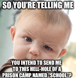 And they thought having to fend for themselves was bad enough.... | SO YOU’RE TELLING ME; YOU INTEND TO SEND ME TO THIS HELL-HOLE OF A PRISON CAMP NAMED “SCHOOL”? | image tagged in memes,skeptical baby,school,prison,sad,baby | made w/ Imgflip meme maker