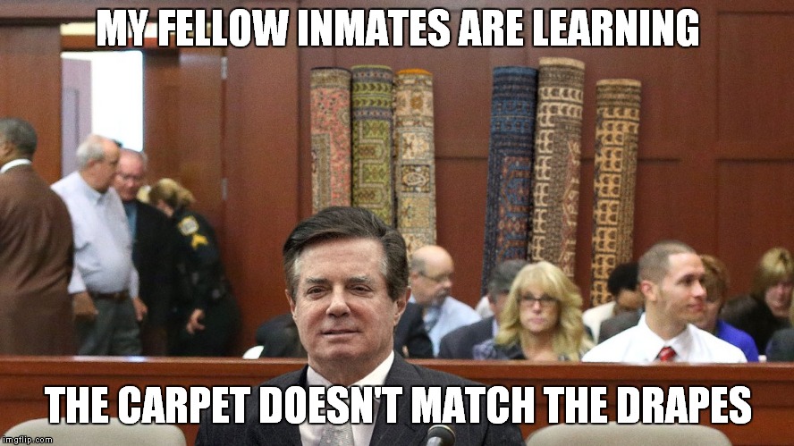 Magic Carpet Ride | MY FELLOW INMATES ARE LEARNING; THE CARPET DOESN'T MATCH THE DRAPES | image tagged in paul manafort,russia investigation | made w/ Imgflip meme maker