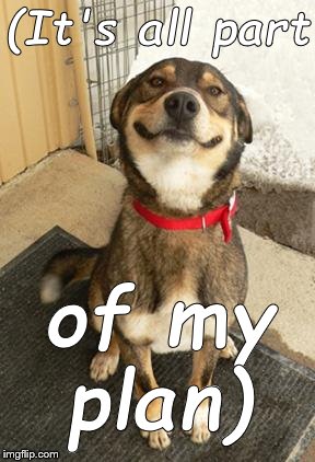 dog smiling big | (It's all part of my plan) | image tagged in dog smiling big | made w/ Imgflip meme maker