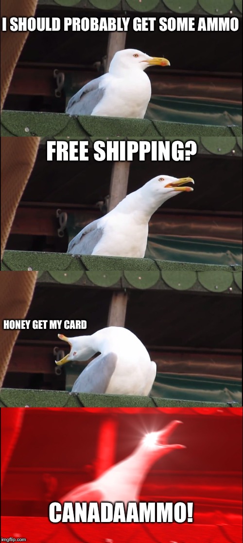 Inhaling Seagull Meme | I SHOULD PROBABLY GET SOME AMMO; FREE SHIPPING? HONEY GET MY CARD; CANADAAMMO! | image tagged in memes,inhaling seagull | made w/ Imgflip meme maker