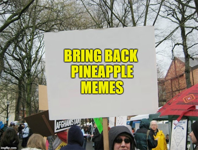 Blank protest sign | BRING BACK PINEAPPLE MEMES | image tagged in blank protest sign | made w/ Imgflip meme maker