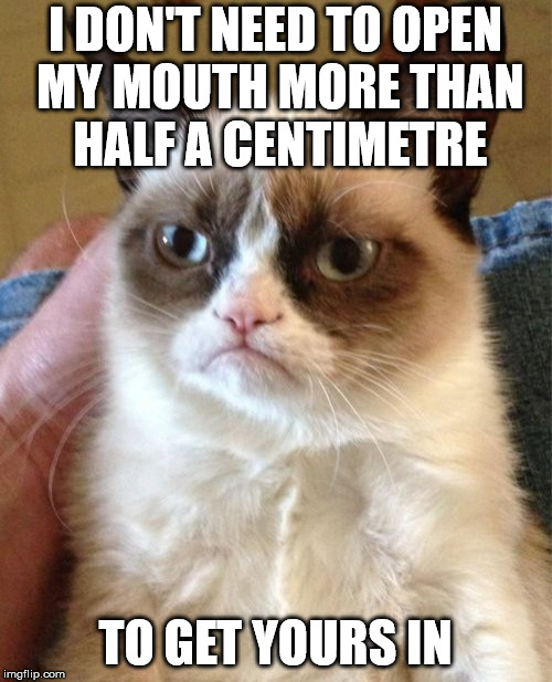 Grumpy Cat Meme | I DON'T NEED TO OPEN MY MOUTH MORE THAN HALF A CENTIMETRE TO GET YOURS IN | image tagged in memes,grumpy cat | made w/ Imgflip meme maker