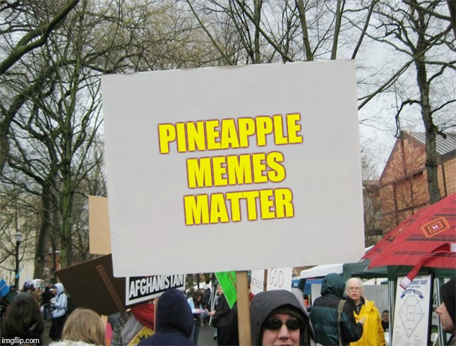 Blank protest sign | PINEAPPLE MEMES MATTER | image tagged in blank protest sign | made w/ Imgflip meme maker