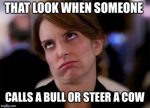Cow | THAT LOOK WHEN SOMEONE; CALLS A BULL OR STEER A COW | image tagged in eye roll | made w/ Imgflip meme maker