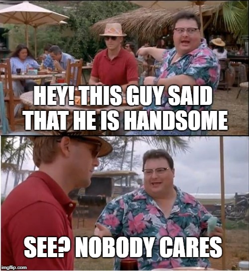 See Nobody Cares | HEY! THIS GUY SAID THAT HE IS HANDSOME; SEE? NOBODY CARES | image tagged in memes,see nobody cares | made w/ Imgflip meme maker