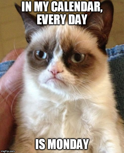 Grumpy Cat Meme | IN MY CALENDAR, EVERY DAY; IS MONDAY | image tagged in memes,grumpy cat | made w/ Imgflip meme maker