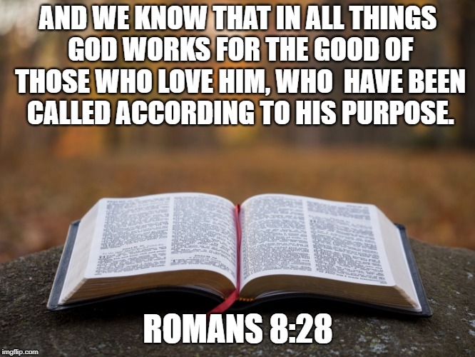 If you're seeking your purpose, start with God. | AND WE KNOW THAT IN ALL THINGS GOD WORKS FOR THE GOOD OF THOSE WHO LOVE HIM, WHO  HAVE BEEN CALLED ACCORDING TO HIS PURPOSE. ROMANS 8:28 | image tagged in god,purpose,life plan,good life | made w/ Imgflip meme maker