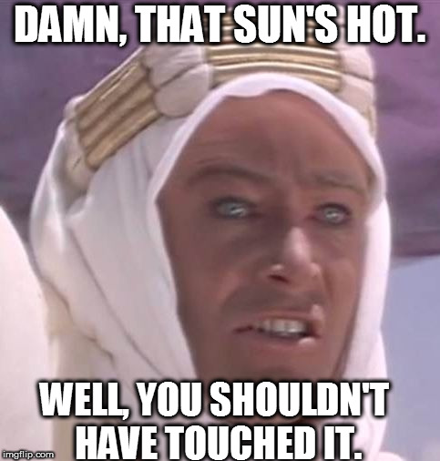 DAMN, THAT SUN'S HOT. WELL, YOU SHOULDN'T HAVE TOUCHED IT. | image tagged in larry | made w/ Imgflip meme maker