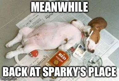 MEANWHILE BACK AT SPARKY’S PLACE | made w/ Imgflip meme maker