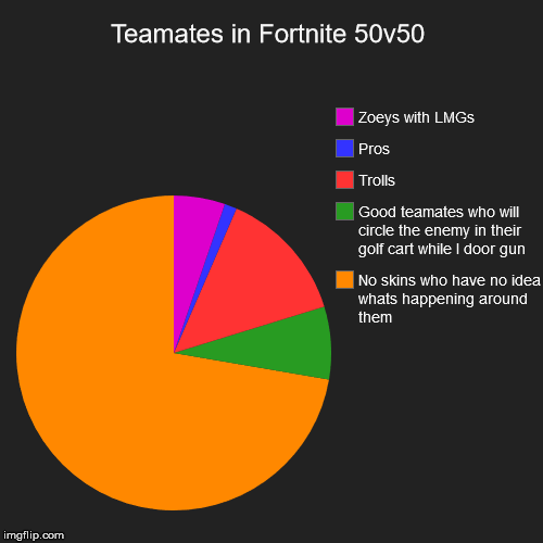 Teamates in Fortnite 50v50 | No skins who have no idea whats happening around them, Good teamates who will circle the enemy in their golf ca | image tagged in funny,pie charts | made w/ Imgflip chart maker