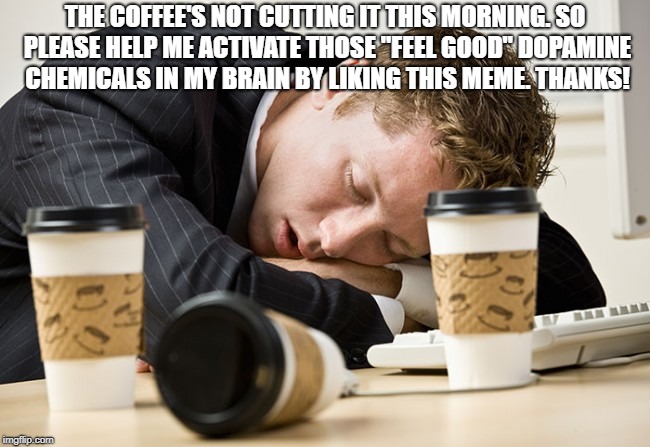 Coffee sleep | THE COFFEE'S NOT CUTTING IT THIS MORNING. SO PLEASE HELP ME ACTIVATE THOSE "FEEL GOOD" DOPAMINE CHEMICALS IN MY BRAIN BY LIKING THIS MEME. THANKS! | image tagged in coffee sleep,memes,funny,funny memes | made w/ Imgflip meme maker