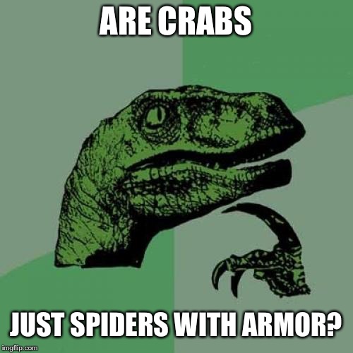They both have so much in common though… | ARE CRABS; JUST SPIDERS WITH ARMOR? | image tagged in memes,philosoraptor,spiders,crab,armor,spider | made w/ Imgflip meme maker