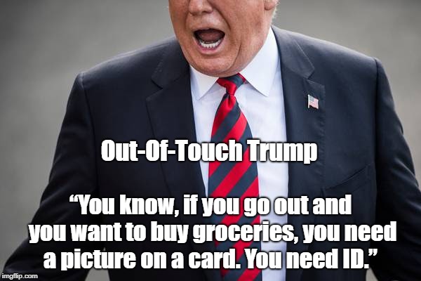 Out-Of-Touch Trump â€œYou know, if you go out and you want to buy groceries, you need a picture on a card. You need ID.â€ | made w/ Imgflip meme maker