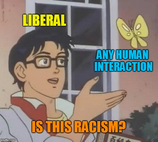 Maybe it's a "If Your Only Tool is A Hammer, Every Problem Looks Like a Nail" sort of thing. | LIBERAL; ANY HUMAN INTERACTION; IS THIS RACISM? | image tagged in memes,is this a pigeon,liberals,liberal logic,race card,simon and garfunkel | made w/ Imgflip meme maker
