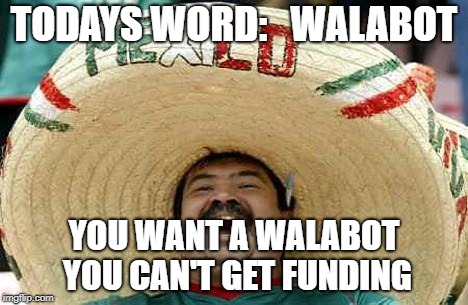 Mexico | TODAYS WORD:
  WALABOT; YOU WANT A WALABOT YOU CAN'T GET FUNDING | image tagged in mexico | made w/ Imgflip meme maker