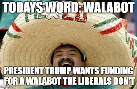 Mexico | TODAYS WORD: WALABOT; PRESIDENT TRUMP WANTS FUNDING FOR A WALABOT THE LIBERALS DON'T | image tagged in mexico | made w/ Imgflip meme maker