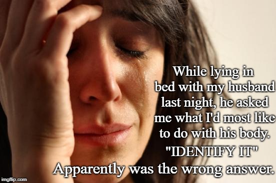 First World Problems |  While lying in bed with my husband last night, he asked me what I'd most like to do with his body. "IDENTIFY IT"; Apparently was the wrong answer. | image tagged in memes,first world problems | made w/ Imgflip meme maker