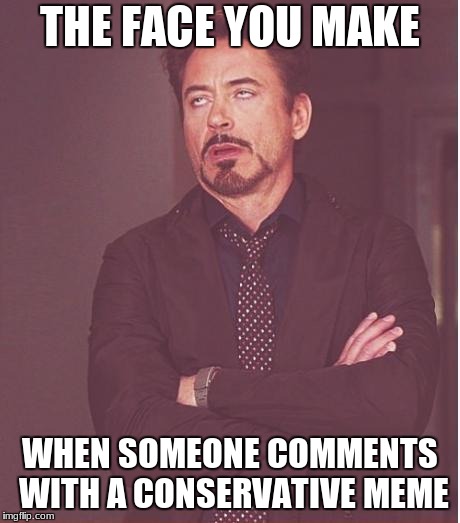 Face You Make Robert Downey Jr Meme | THE FACE YOU MAKE; WHEN SOMEONE COMMENTS WITH A CONSERVATIVE MEME | image tagged in memes,face you make robert downey jr | made w/ Imgflip meme maker