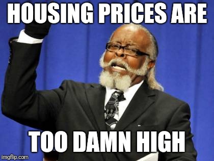 After working a steady job for 3 years, looking into purchasing a home and realizing I don't make nearly half what it would take | HOUSING PRICES ARE; TOO DAMN HIGH | image tagged in memes,too damn high | made w/ Imgflip meme maker