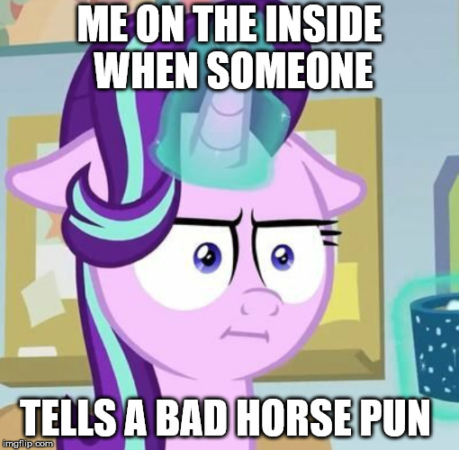 ME ON THE INSIDE WHEN SOMEONE; TELLS A BAD HORSE PUN | image tagged in mlp meme | made w/ Imgflip meme maker