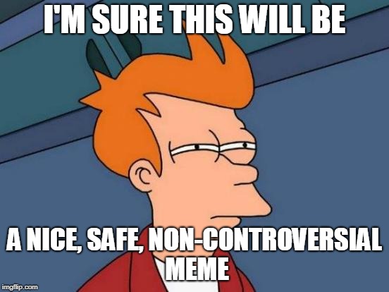 Futurama Fry Meme | I'M SURE THIS WILL BE A NICE, SAFE, NON-CONTROVERSIAL MEME | image tagged in memes,futurama fry | made w/ Imgflip meme maker