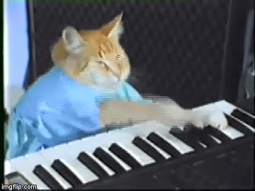 Keyboard Cat - Imgflip