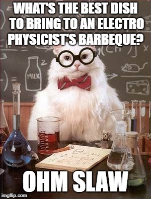 Ohm Slaw | WHAT'S THE BEST DISH TO BRING TO AN ELECTRO PHYSICIST'S BARBEQUE? OHM SLAW | image tagged in science cat good day,science cat,bad pun,puns,electronics,electricity | made w/ Imgflip meme maker