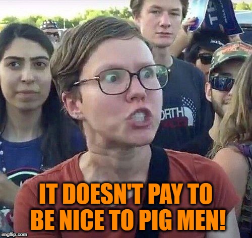 foggy | IT DOESN'T PAY TO BE NICE TO PIG MEN! | image tagged in triggered feminist | made w/ Imgflip meme maker