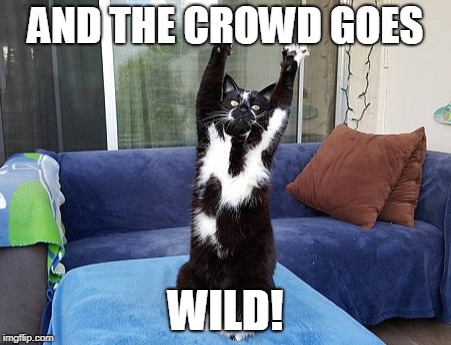 AND THE CROWD GOES WILD! | made w/ Imgflip meme maker