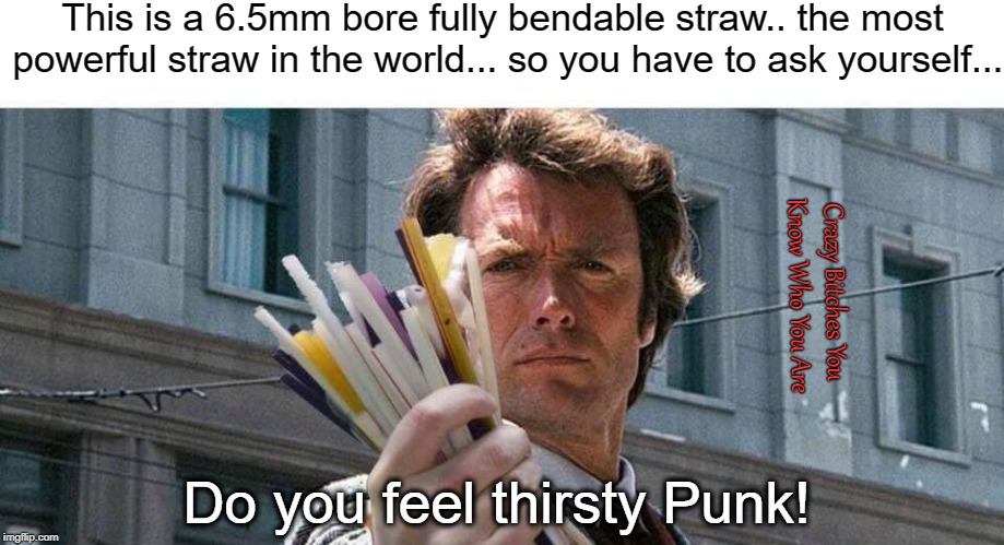 This is a 6.5mm bore fully bendable straw.. the most powerful straw in the world... so you have to ask yourself... Crazy Bitches You Know Who You Are; Do you feel thirsty Punk! | image tagged in clint eastwood,plastic straws | made w/ Imgflip meme maker