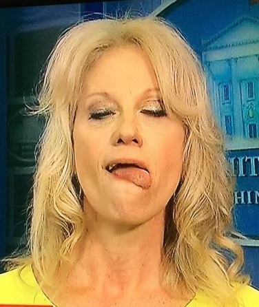 High Quality Kellyanne's Purty Mouth Blank Meme Template