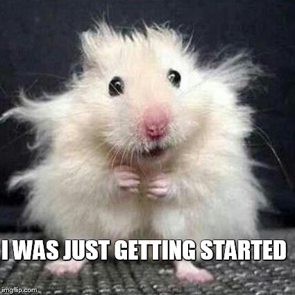 Stressed Mouse | I WAS JUST GETTING STARTED | image tagged in stressed mouse | made w/ Imgflip meme maker
