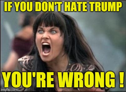 Angry Xena | IF YOU DON'T HATE TRUMP YOU'RE WRONG ! | image tagged in angry xena | made w/ Imgflip meme maker