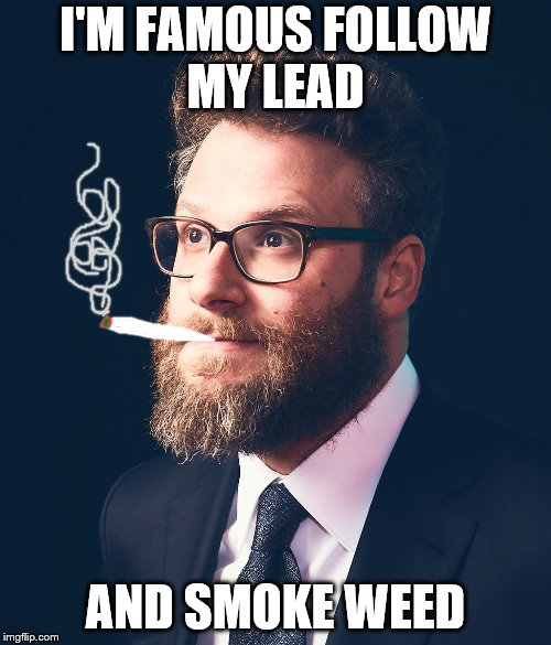Seth Rogan | I'M FAMOUS FOLLOW MY LEAD; AND SMOKE WEED | image tagged in seth rogan | made w/ Imgflip meme maker