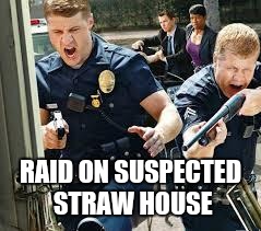 Cops | RAID ON SUSPECTED STRAW HOUSE | image tagged in cops | made w/ Imgflip meme maker