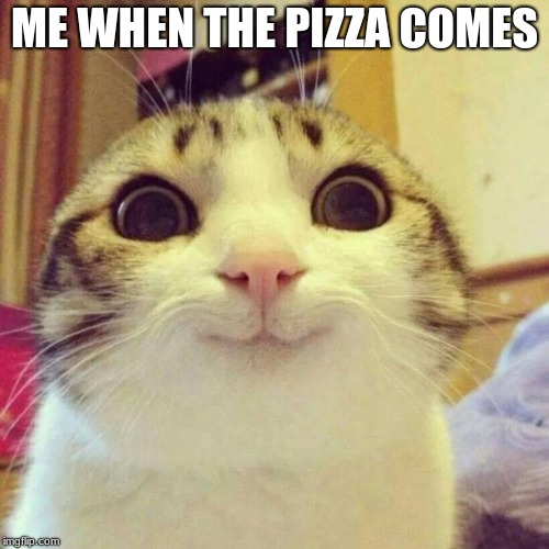 Happy Pizza Cat | ME WHEN THE PIZZA COMES | image tagged in memes,smiling cat | made w/ Imgflip meme maker