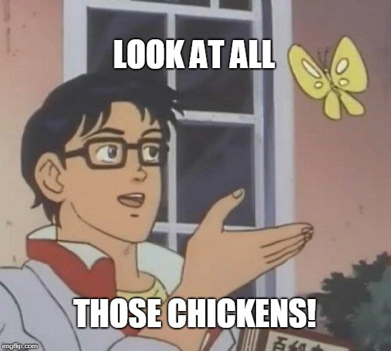 Is This A Pigeon Meme | LOOK AT ALL; THOSE CHICKENS! | image tagged in memes,is this a pigeon | made w/ Imgflip meme maker