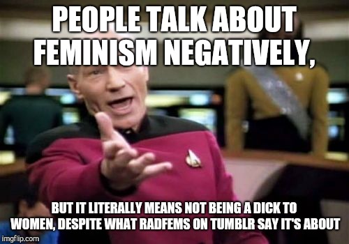 Real Feminism vs. Tumblr Feminism | PEOPLE TALK ABOUT FEMINISM NEGATIVELY, BUT IT LITERALLY MEANS NOT BEING A DICK TO WOMEN, DESPITE WHAT RADFEMS ON TUMBLR SAY IT'S ABOUT | image tagged in memes,picard wtf,feminism,tumblr | made w/ Imgflip meme maker