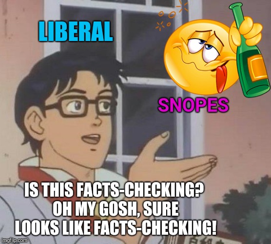 Is This A Pigeon Meme | LIBERAL; SNOPES; IS THIS FACTS-CHECKING? OH MY GOSH, SURE LOOKS LIKE FACTS-CHECKING! | image tagged in memes,is this a pigeon | made w/ Imgflip meme maker