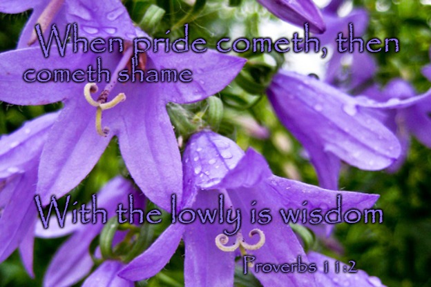 Proverbs 11:2 When Pride Cometh, Then Cometh Shame | When pride cometh, then; cometh shame; With the lowly is wisdom; Proverbs 11:2 | image tagged in holy bible,holy spirit,bible verse,verse,bible,god | made w/ Imgflip meme maker