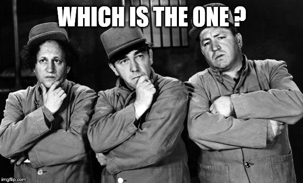 3 stooges | WHICH IS THE ONE ? | image tagged in 3 stooges | made w/ Imgflip meme maker