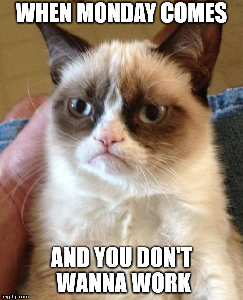 Grumpy Cat Meme | WHEN MONDAY COMES; AND YOU DON'T WANNA WORK | image tagged in memes,grumpy cat | made w/ Imgflip meme maker