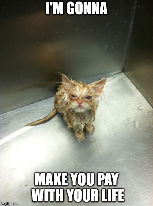 Kill You Cat Meme | I'M GONNA; MAKE YOU PAY WITH YOUR LIFE | image tagged in memes,kill you cat | made w/ Imgflip meme maker