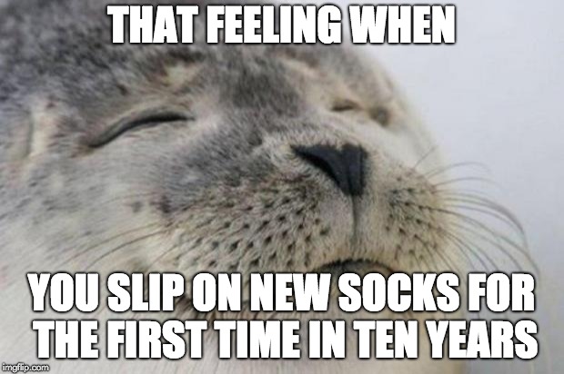 Happy Seal | THAT FEELING WHEN; YOU SLIP ON NEW SOCKS FOR THE FIRST TIME IN TEN YEARS | image tagged in happy seal | made w/ Imgflip meme maker