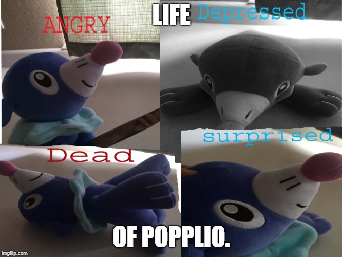 Popplio thing | LIFE; OF POPPLIO. | image tagged in funny | made w/ Imgflip meme maker